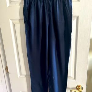 Women’s size 10 H&M navy blue pants.